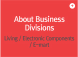 About Business Divisions